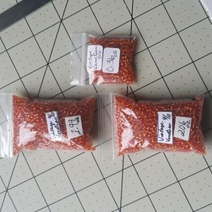Vintage Venetian Seed Beads - Size 9/0 - SET #2
